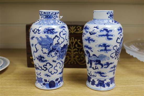 A pair of Chinese blue and white vases